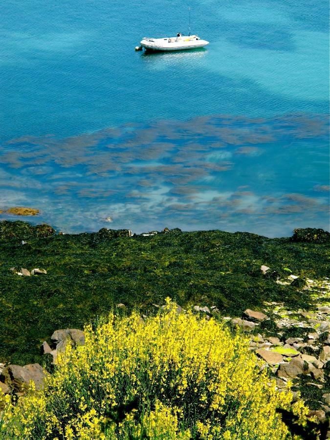Le Logis Du Roc Bed and Breakfast Γκρανβίλ Εξωτερικό φωτογραφία